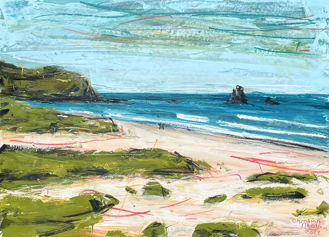 Christian Nicolson nz contemporary landscape art, Sandfly Bay, Acrylic on canvas